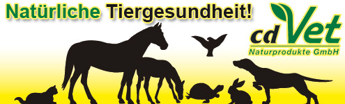 Unser Angebot